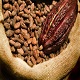 Cacao Côte d’Ivoire : La Côte d’Ivoire s’attend à une récolte de cacao désastreuse